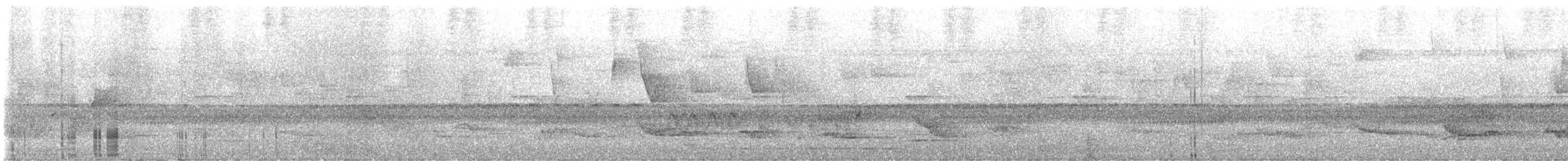 Rufous-and-white Wren - ML637609278