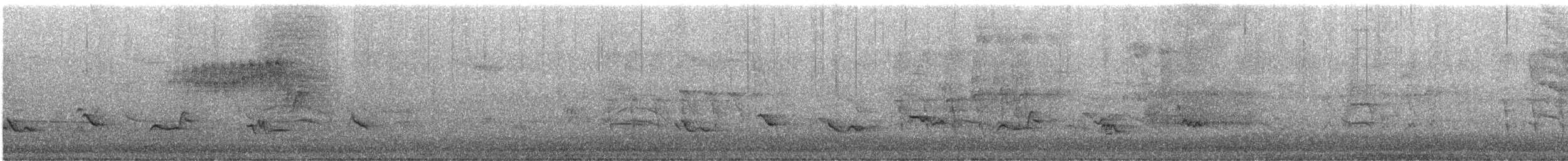 Northern Parula - ML637610730