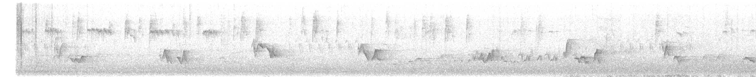 Vireo begigorria - ML637610816