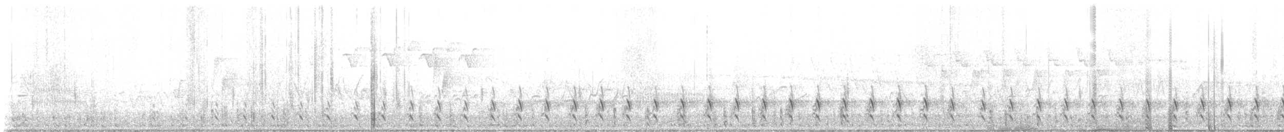 Wilson's Snipe - ML637612158