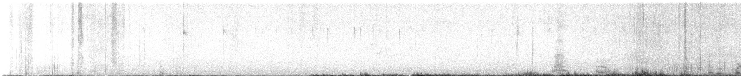 Costa's Hummingbird - ML637612226