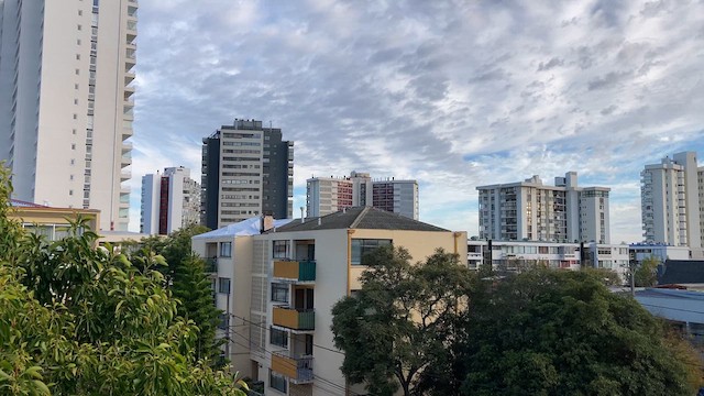 Gray-hooded Sierra Finch - ML637612869