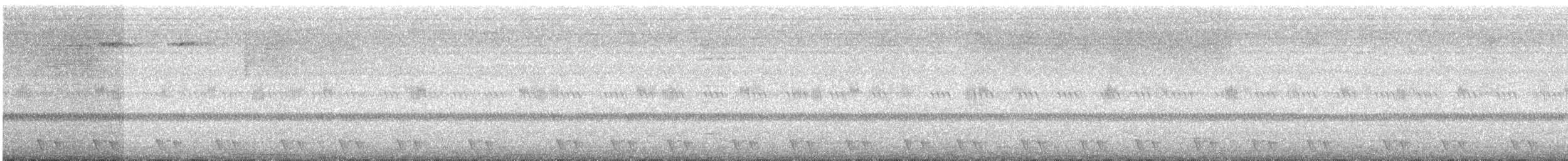 Succiacapre collorosso - ML637613716