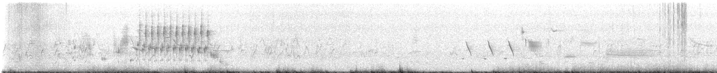 Marsh Wren - ML637613906