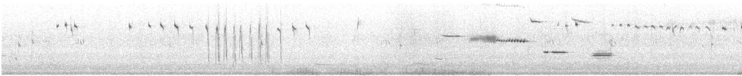 Cassin's Sparrow - ML637613977