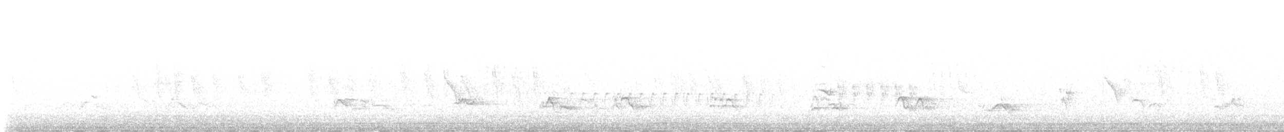 Yeşil-Mor Kırlangıç - ML637614960