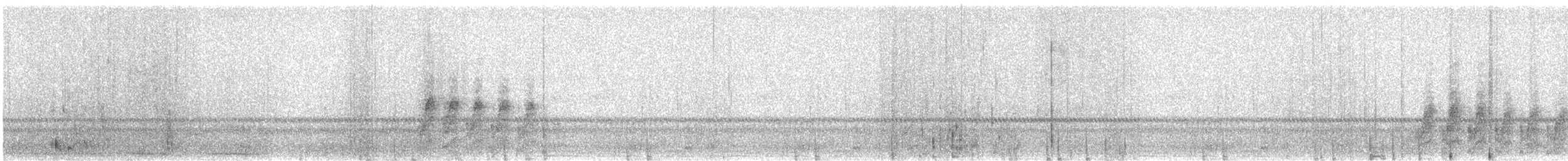 dvergrikse - ML637616340