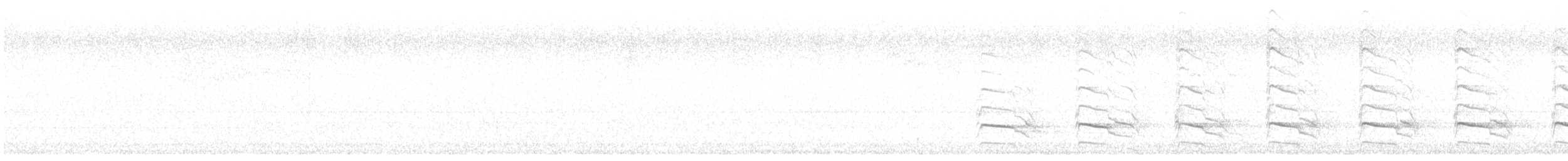 Red-shouldered Hawk - ML637616963