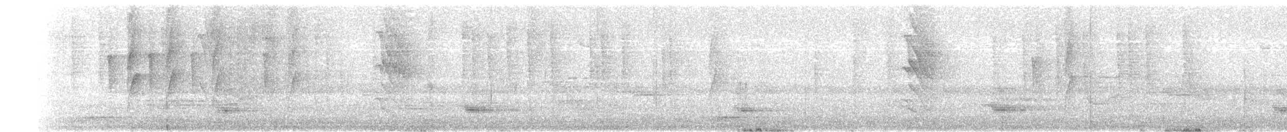 Slaty Antwren - ML637617379