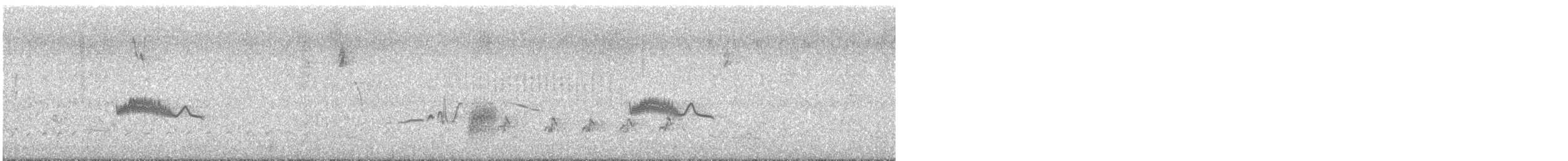 Western Wood-Pewee - ML637617536