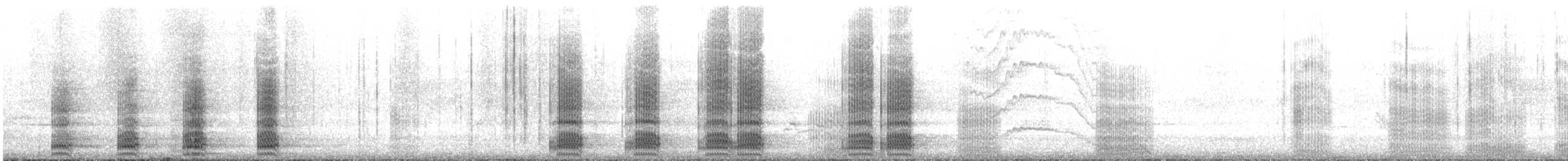 ワタリガラス - ML637618258
