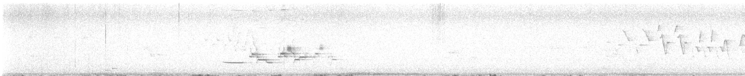Hermit Thrush - ML637621484