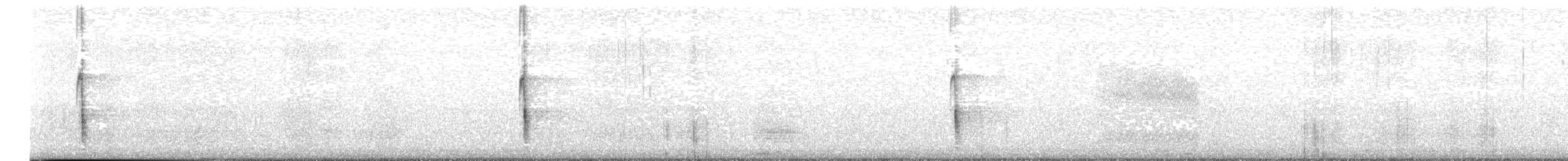 Chilean Mockingbird - ML637621894
