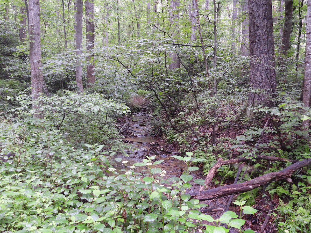 null - ML637621995