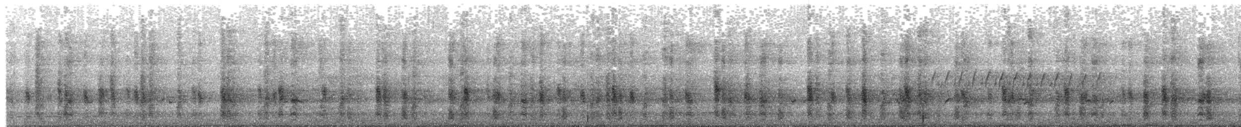 Common Grackle - ML637624629