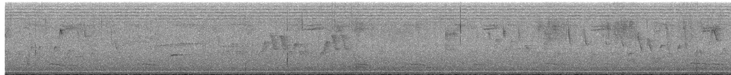 new world warbler sp. - ML637624985