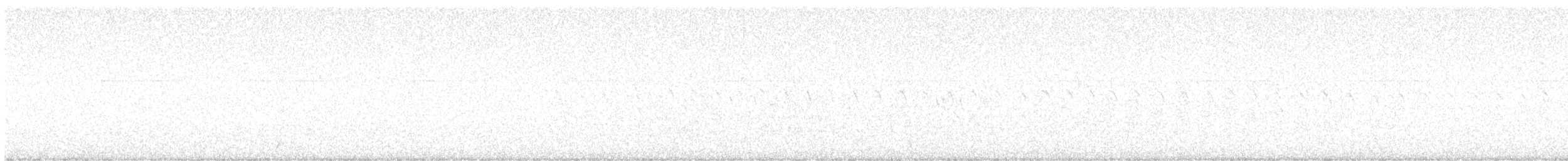 Качка sp. - ML637624998