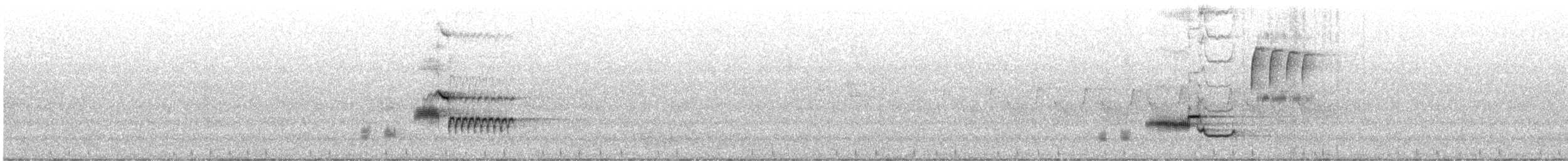 Wood Thrush - ML637625090