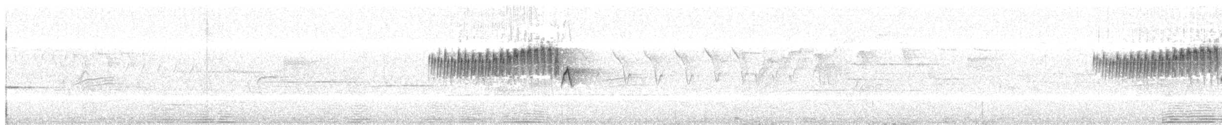 Northern Parula - ML637626367