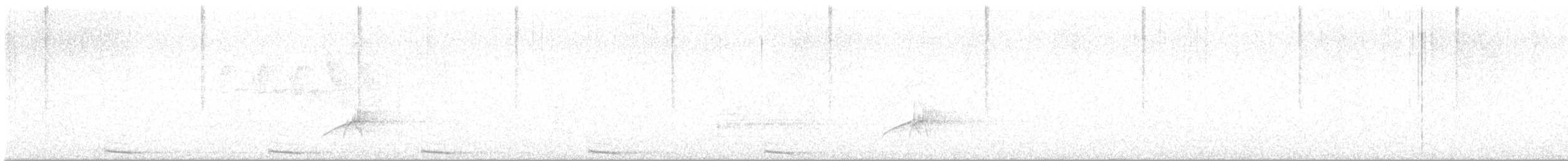 kukačka dešťová - ML637627405