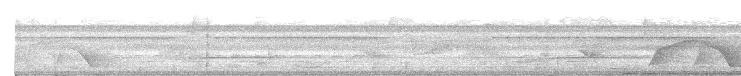 Screaming Piha - ML637627636