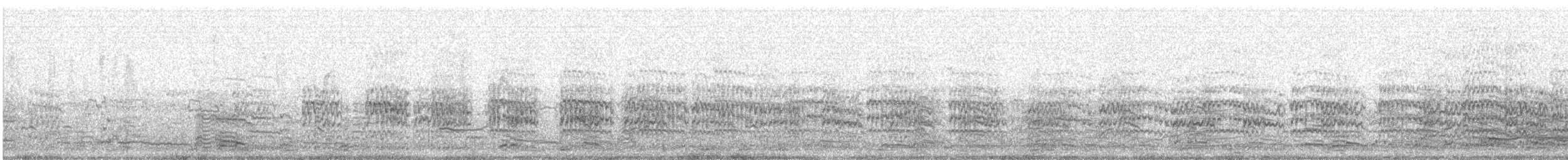 Southern Lapwing (chilensis/fretensis) - ML637631400