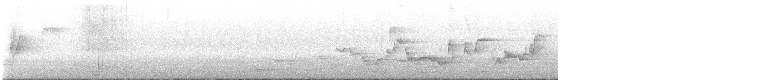 Ötücü Vireo (gilvus) - ML637634365