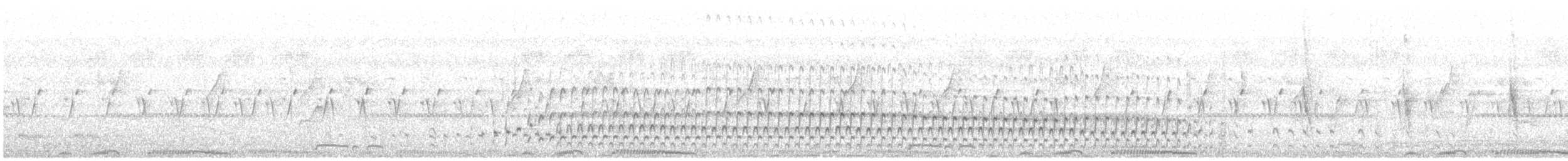 Grèbe castagneux (groupe ruficollis) - ML637636809
