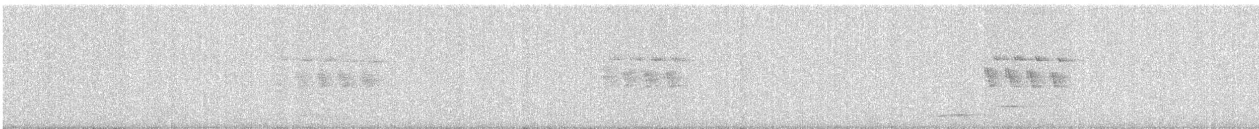 grønnebbkoel - ML637638186