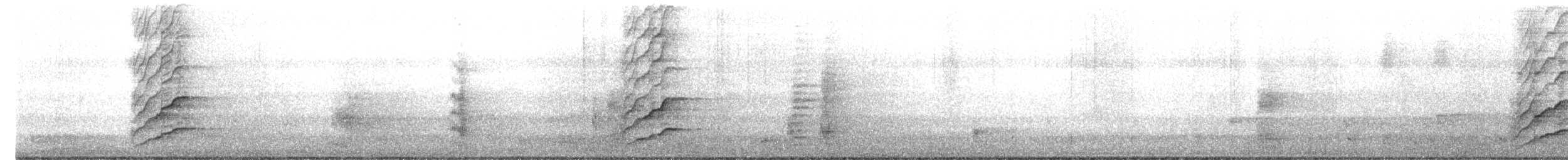 Méliphage à oreillons bleus - ML637638649