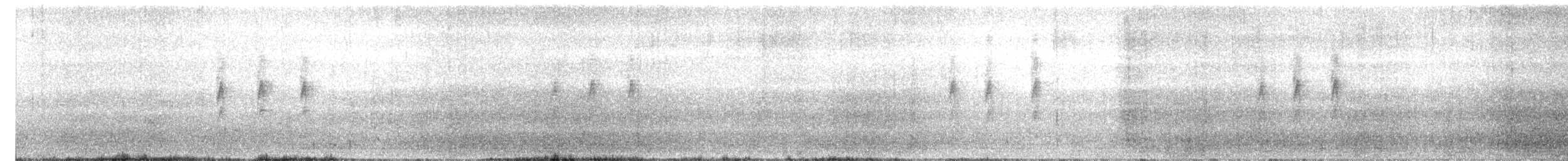 White-eared Monarch - ML637638695