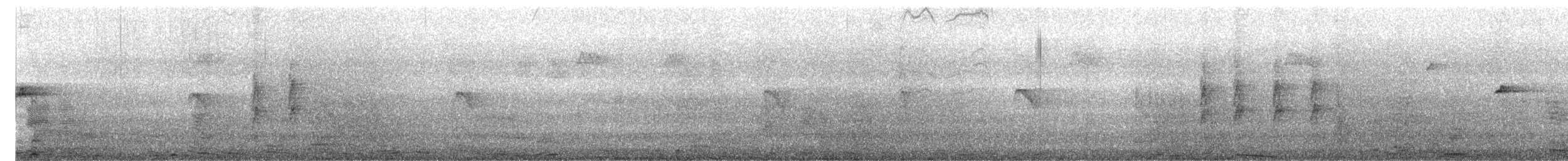 White-eared Monarch - ML637638696