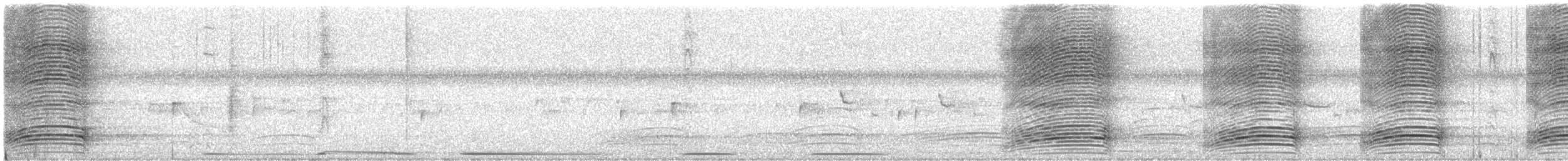 Cuban Palm-Crow - ML637641684