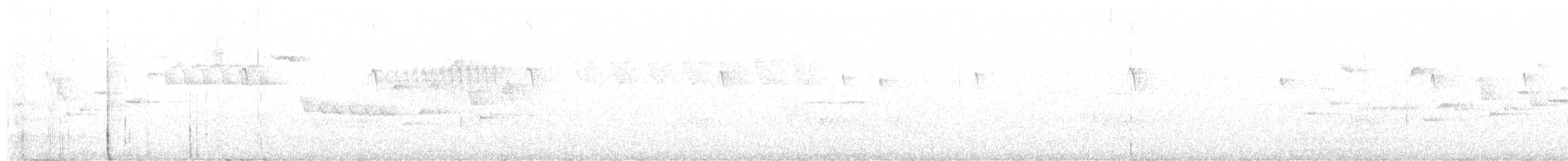 フユミソサザイ - ML637641746