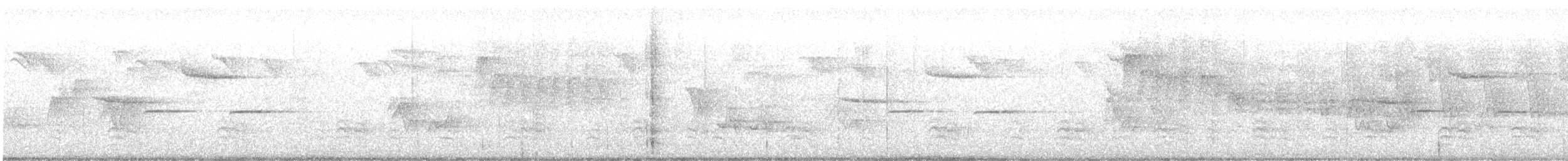 カロライナコガラ - ML637642072