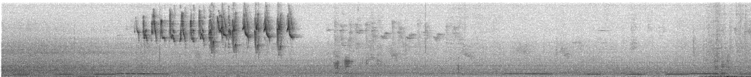 Cinereous Conebill - ML637642406