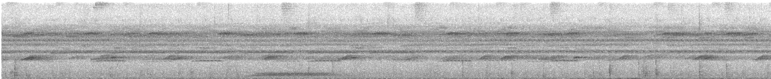 オオタチヨタカ - ML637642432