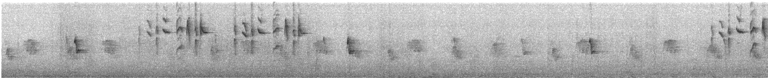 Cinereous Conebill - ML637642676