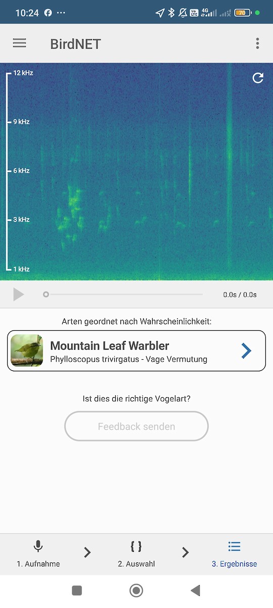 Mountain Leaf Warbler - ML637642705