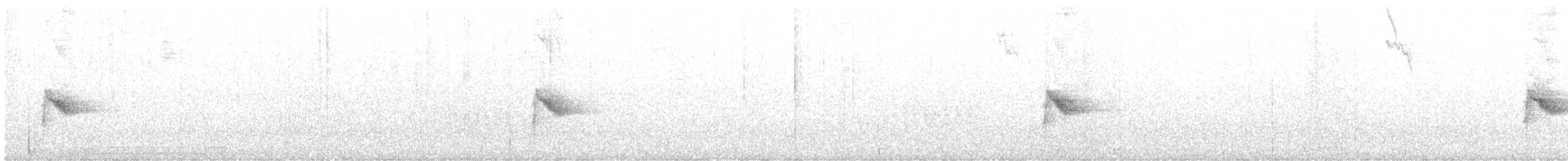 Bicknell's Thrush - ML637642958