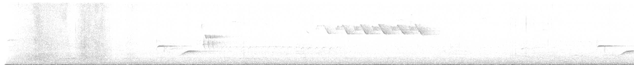 Black-and-white Warbler - ML637644938