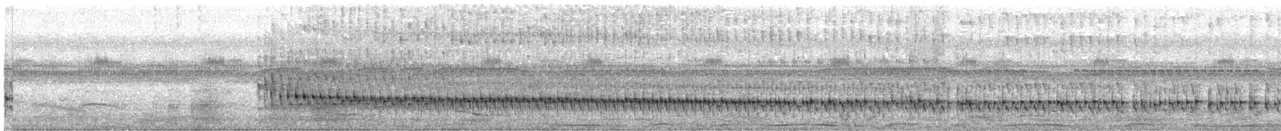 Russet-crowned Crake - ML637645715