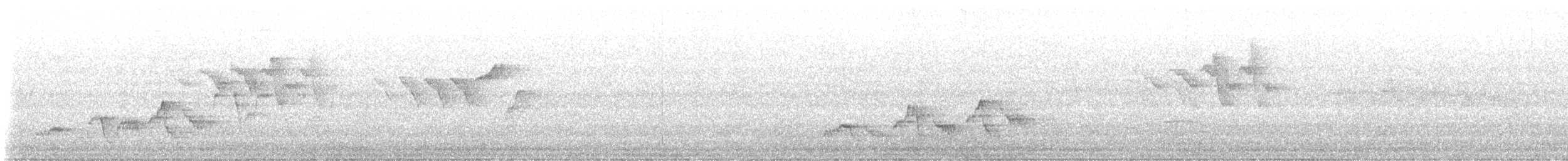Swainson's Thrush - ML637648236