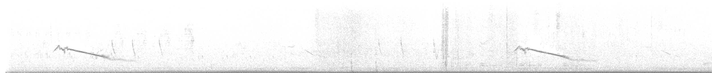 Karoo Long-billed Lark (Karoo) - ML637649133