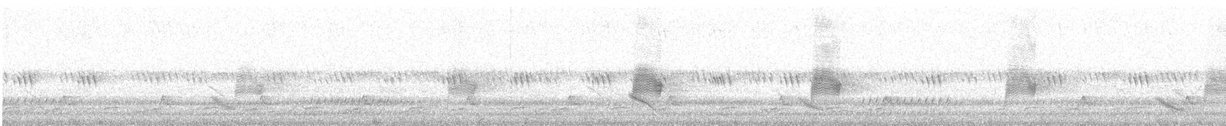 Common Nighthawk - ML637649275