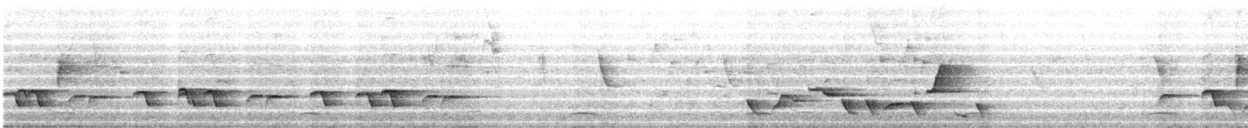 Coraya Wren - ML637649654