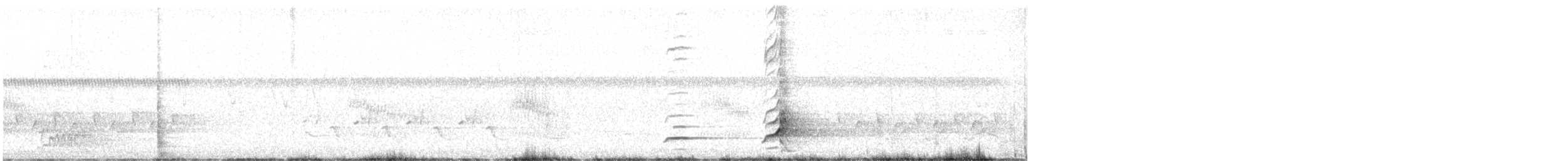 Northern Bobwhite - ML637650732