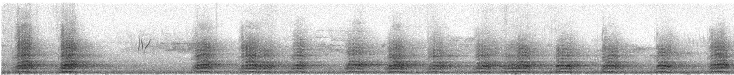 Corvo imperiale - ML637653567