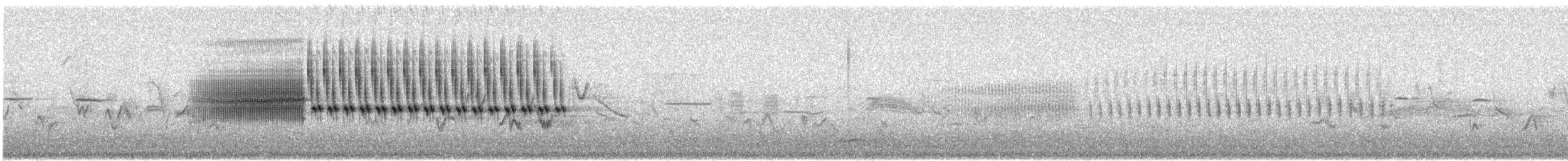 Brewer's Sparrow - ML637653652