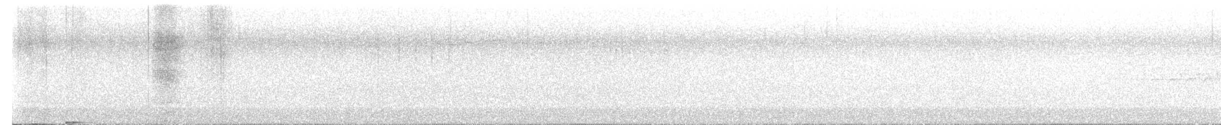 フユミソサザイ - ML637654085